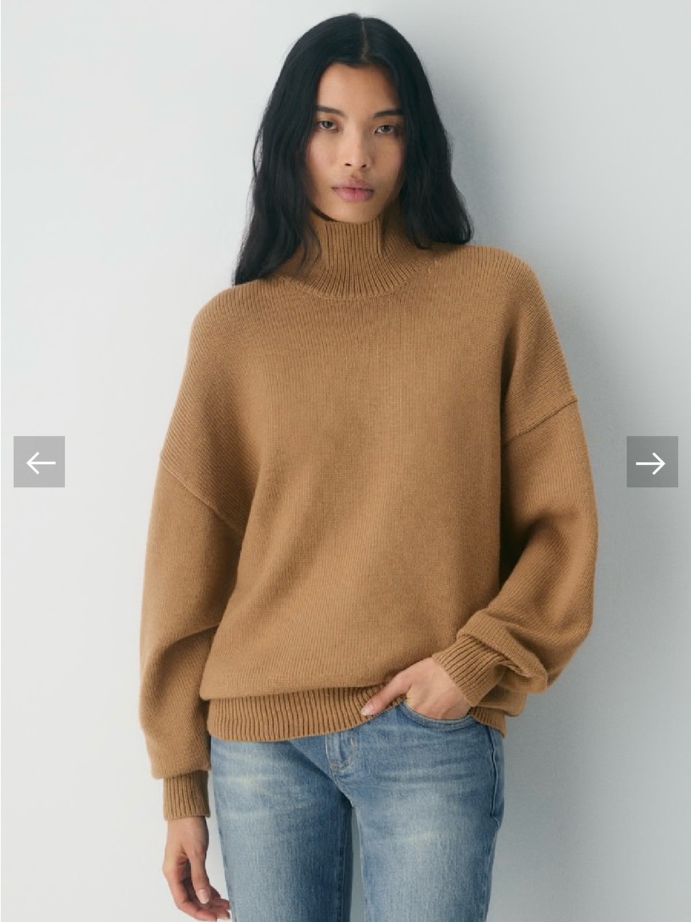 Aritzia Chunky Oversized Merino Wool Turtleneck